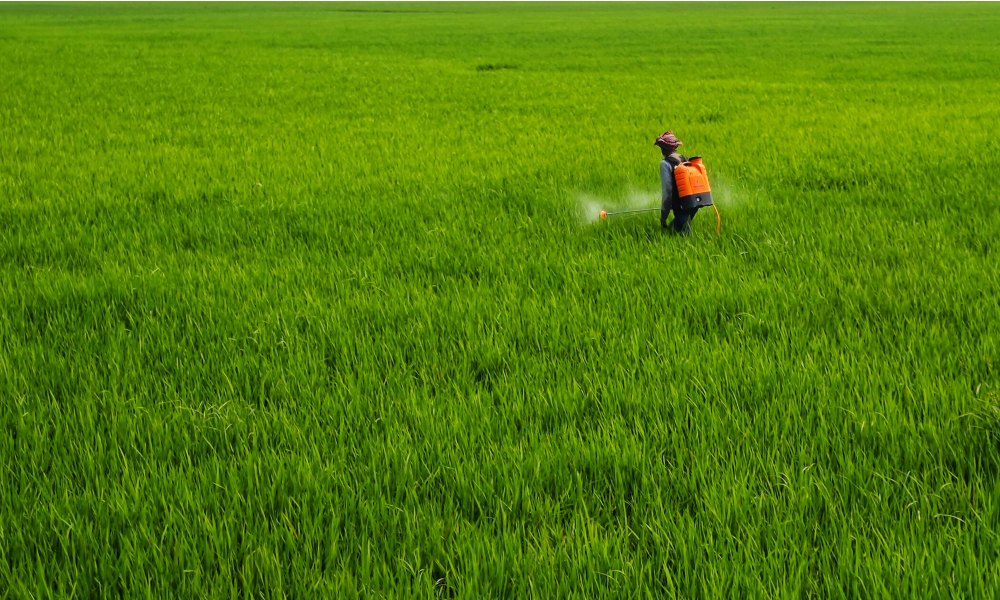 Catalyst-for-Glyphosate