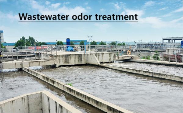 SRC-BL Impregnated Coal Columnar Activated Carbon for Wastewater odor removal