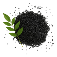 PSD-A0 S Acid-Washed Coconut Shell Activated Carbon for Critical Applications